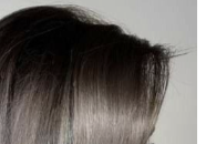 Root dye with the client