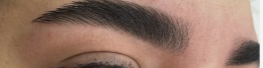 Eyebrow bleaching