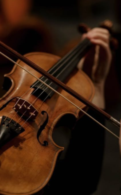 Violin Player