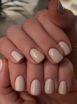 Regular Nail Polish (Hands)
