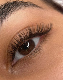 Daily Lashes