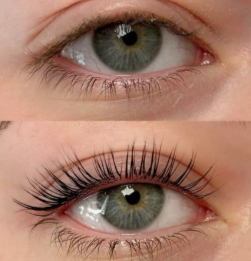 Monthly Classic Individual Lashes