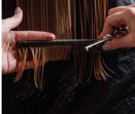 Hair Trim