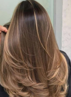 Hair Highlights