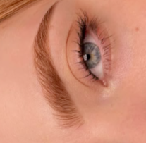 Eyebrow Tint