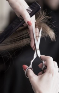 Adult Haircut
