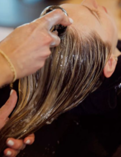 Medicinal Shampoo and Conditioner