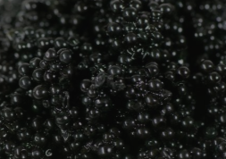 Root Caviar