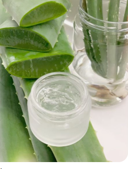 Aloe Vera Hair Session