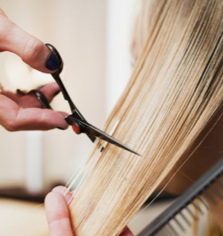Hair Trim