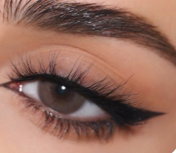 Eyeliner with Lashes