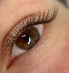 Classic Individual Lashes