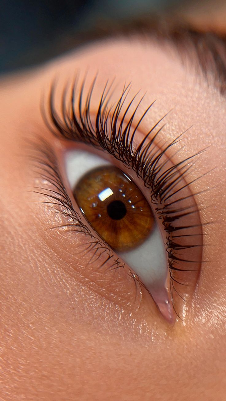 LASH | LAMINATION & TINT